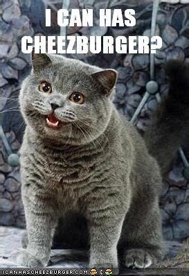 i can has cheezburger|icanhascheezburger original website.